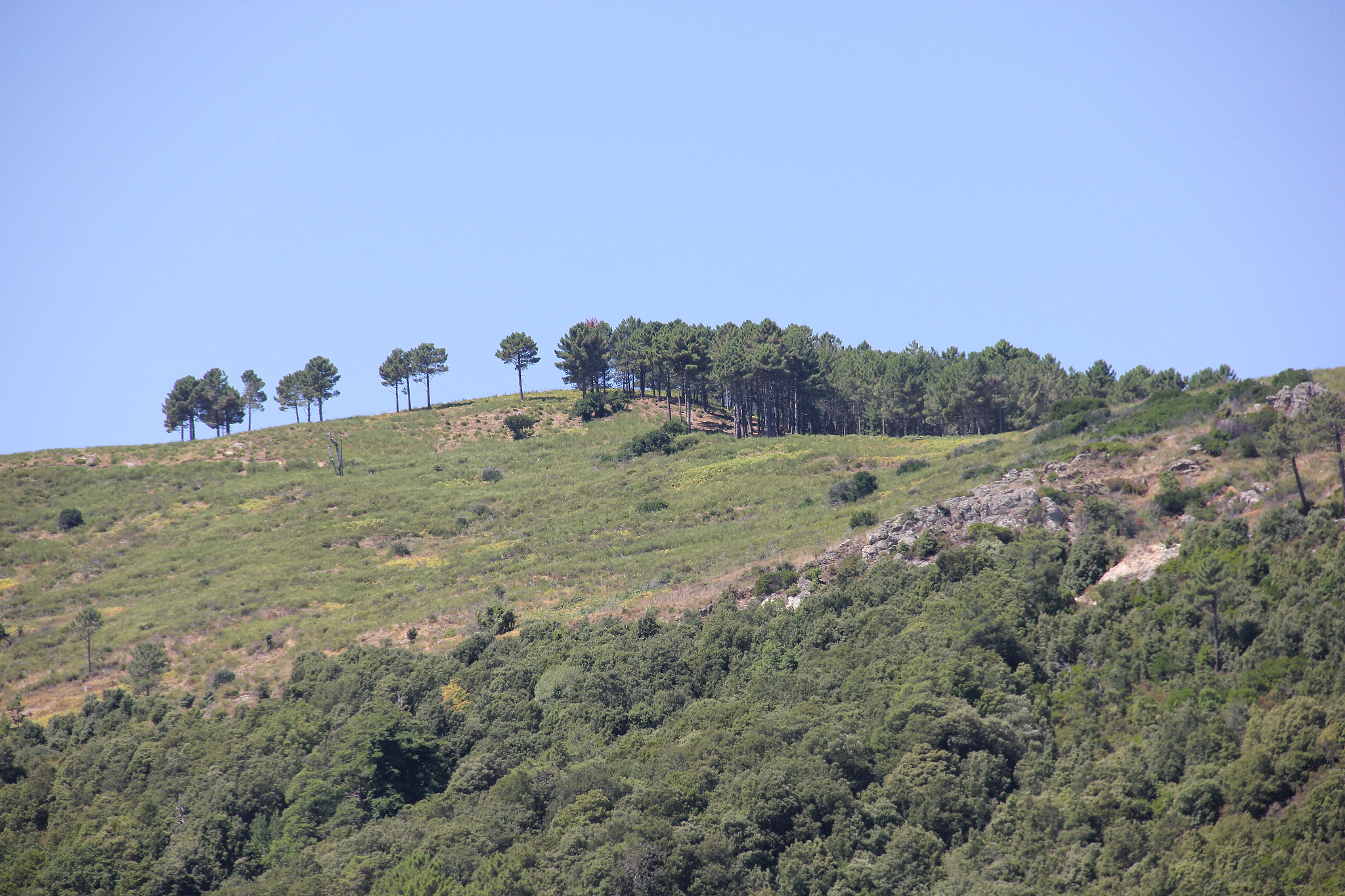 Cargese